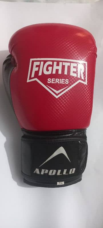Adidas punching leather bag with Apollo gloves 0