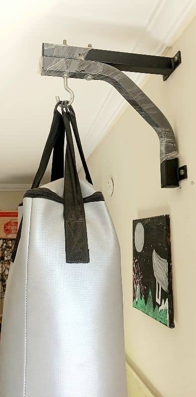 Adidas punching leather bag with Apollo gloves 2
