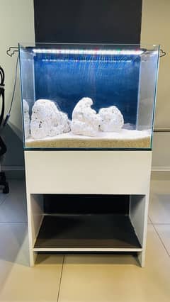 2 ft fish aquarium with stand for sale