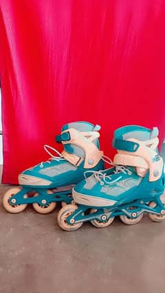 Skating Shoes on Wholesale rate