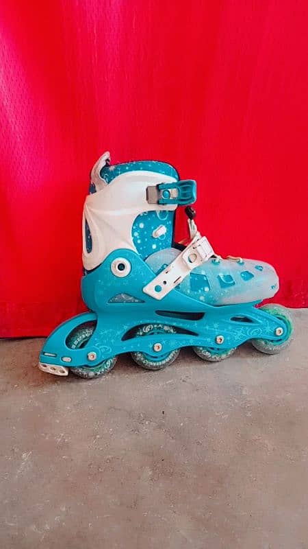 Skating Shoes on Wholesale rate 2