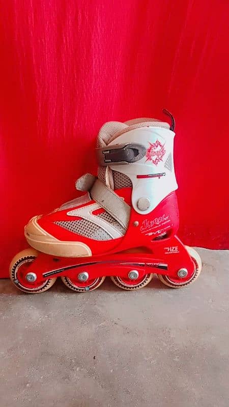 Skating Shoes on Wholesale rate 3