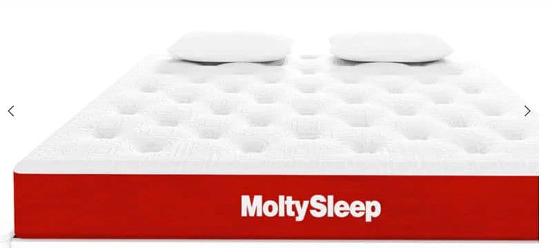 Molty Sleep 2 in 1 Foam Mattress 0