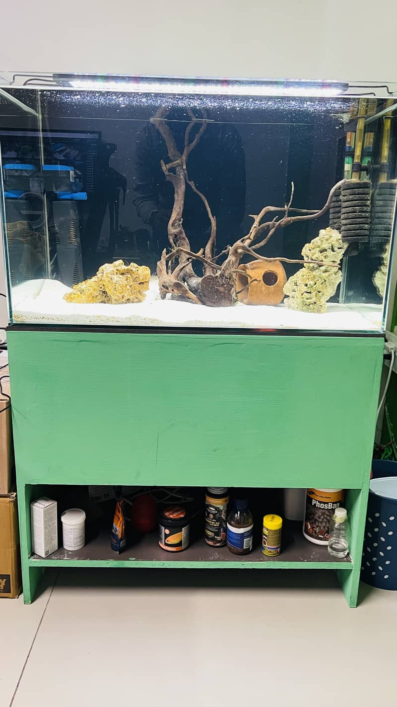 Aquarium with wooden stand for sale 0