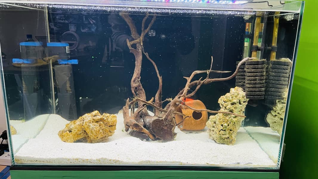 Aquarium with wooden stand for sale 1