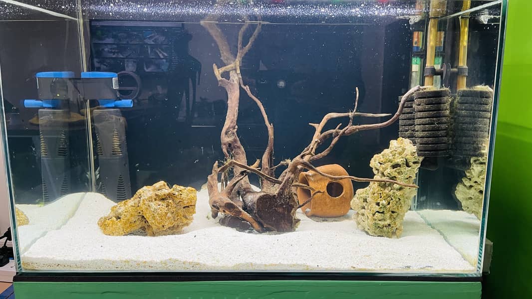 Aquarium with wooden stand for sale 3