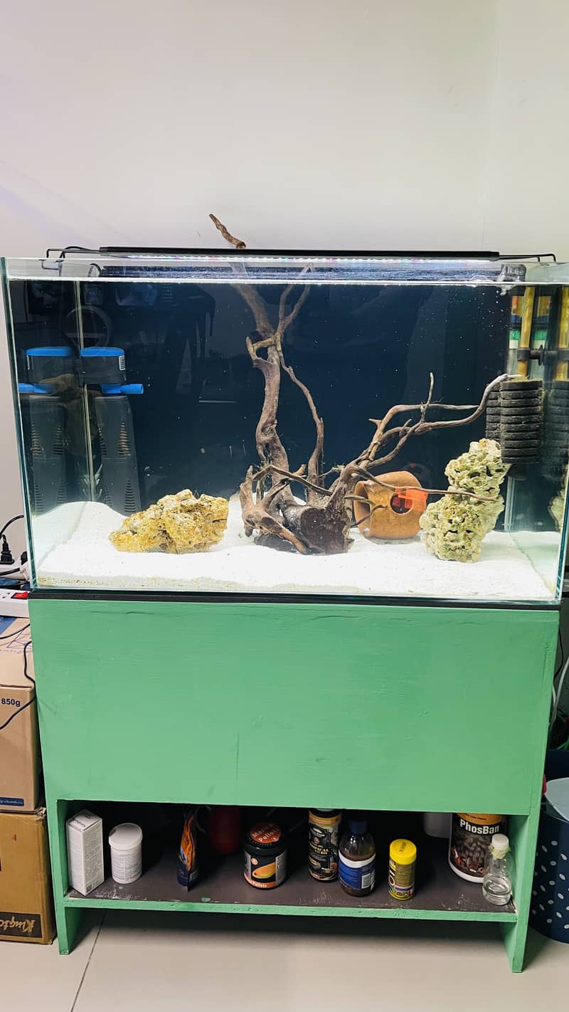 Aquarium with wooden stand for sale 4