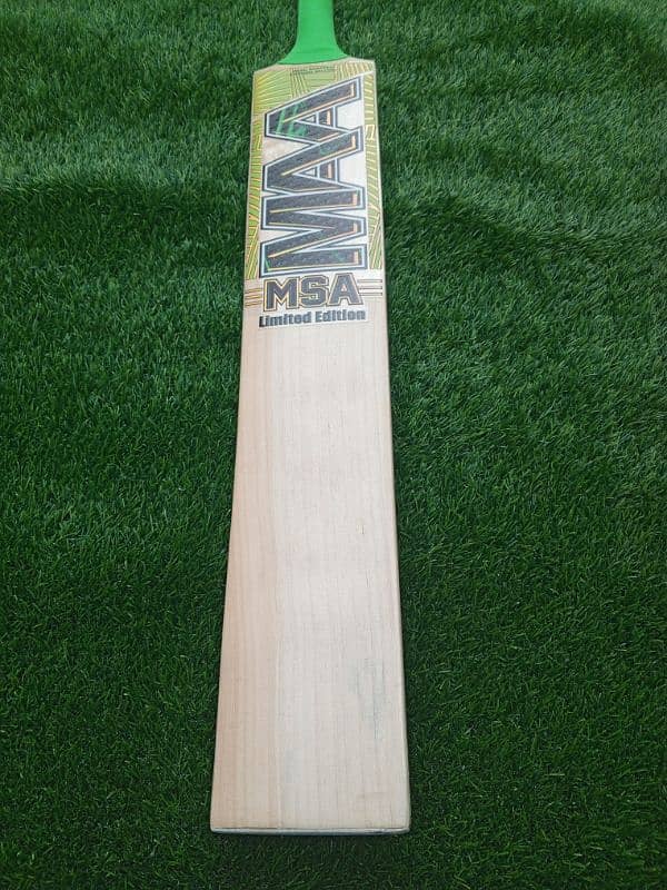 Hardball Cricket Bat 1