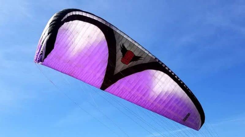 paraglider canopy and harness 0