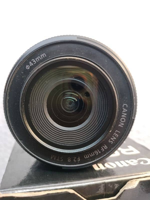 canon RF  16mm f2.8 STM 3