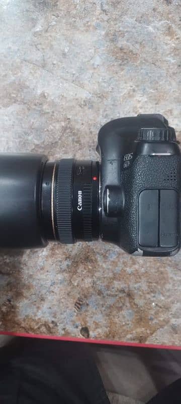 canon 6d body with 50mm 1.4 lens 4