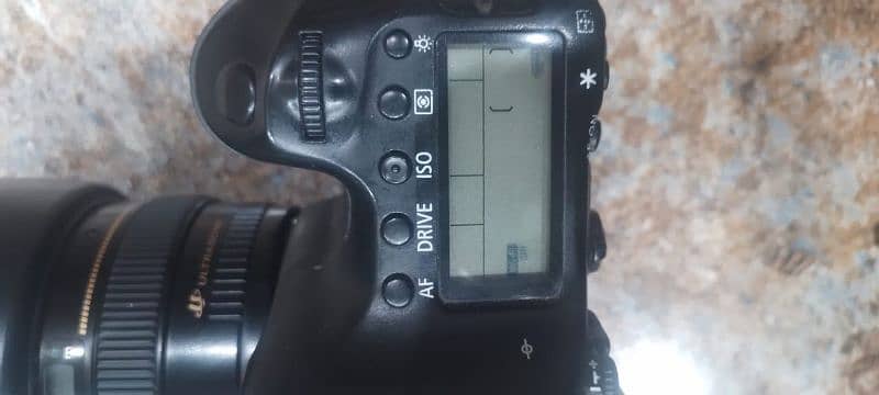 canon 6d body with 50mm 1.4 lens 6