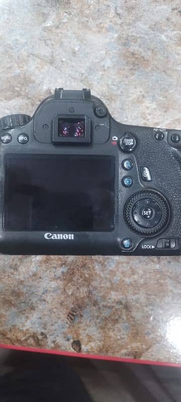 canon 6d body with 50mm 1.4 lens 10