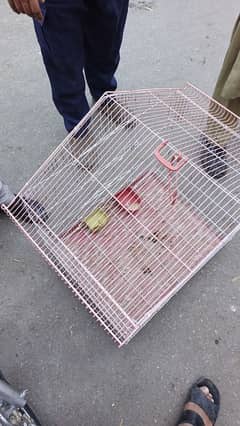 cage for sale