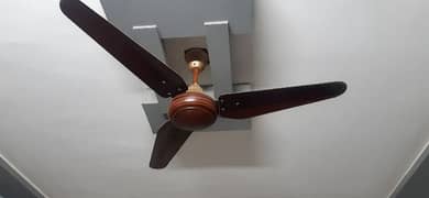 CELING FANS