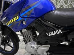 yamaha