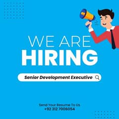 Senior Business development executive.