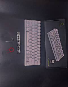 T-Dagger Red Dragon Arena 61% Mechanical Keyboard (White)*