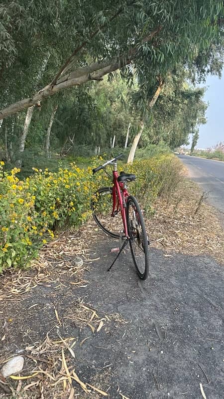 Giant escape R3 hybrid  bike 0