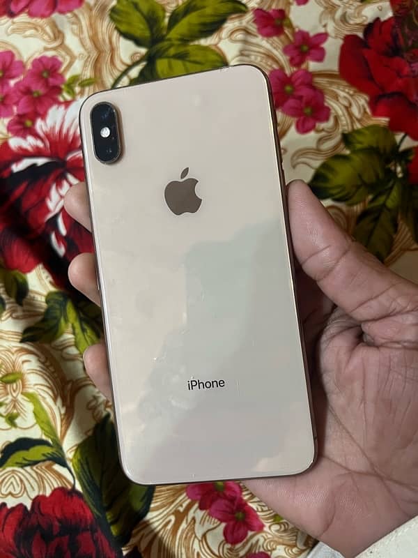 iPhone 13 Pro Max and iPhone Xs Max (READ ADD) 13