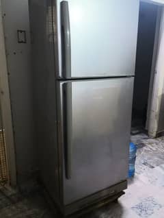 Pel Comapny Fridge Jumbo Size