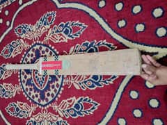 English Willow Hard Ball Bat