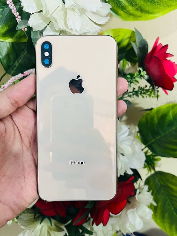 iphoneXsMax 512gb 2