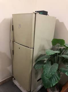 Dawlance Fridge in Good Condition