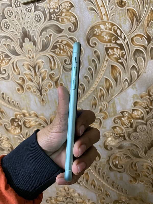 iphone 11 pta approved 1