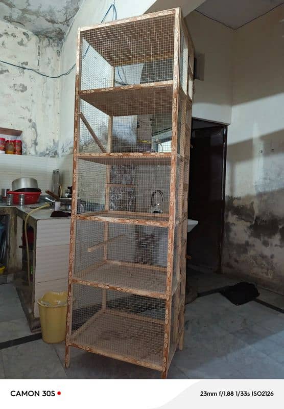 wood cage 5 Portions for sale in Lahore 3