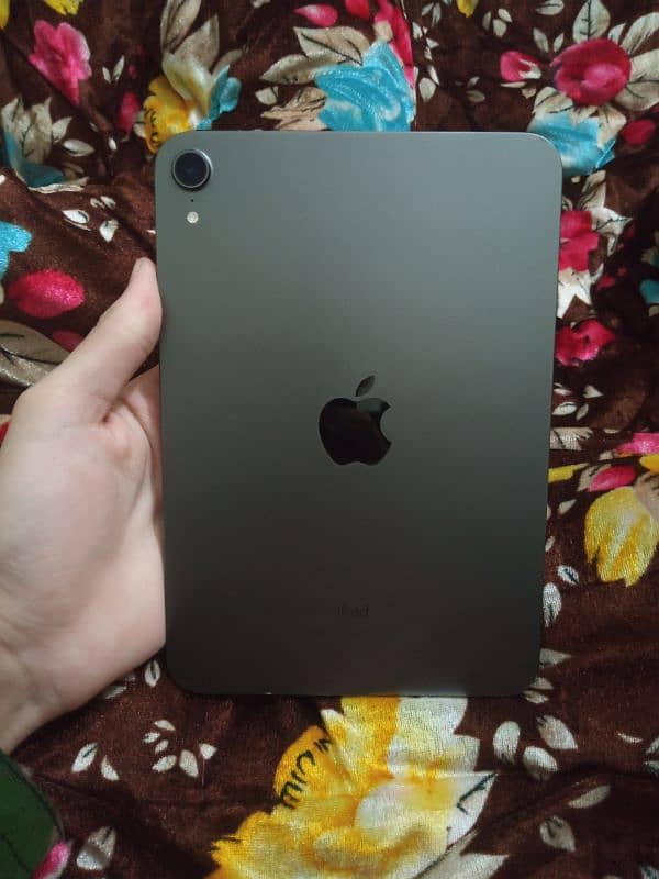 Ipad Mini 6   256Gb 0