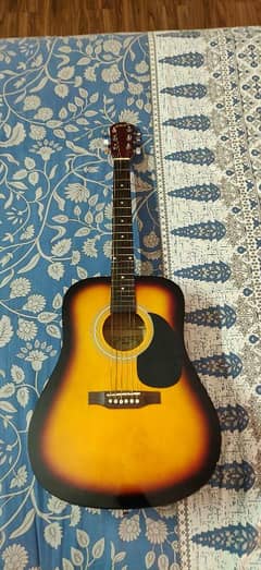 PROFESSIONAL ACOUSTIC GUITAR