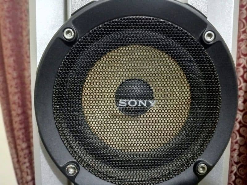 sony Rs100D 6