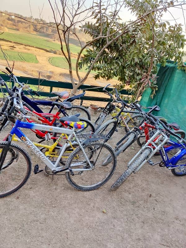 cycles available for sale Whatsapp or call 03125952440 0