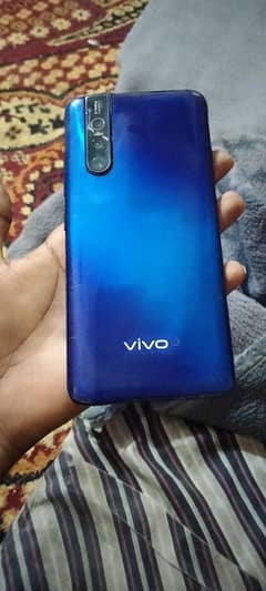 vivo