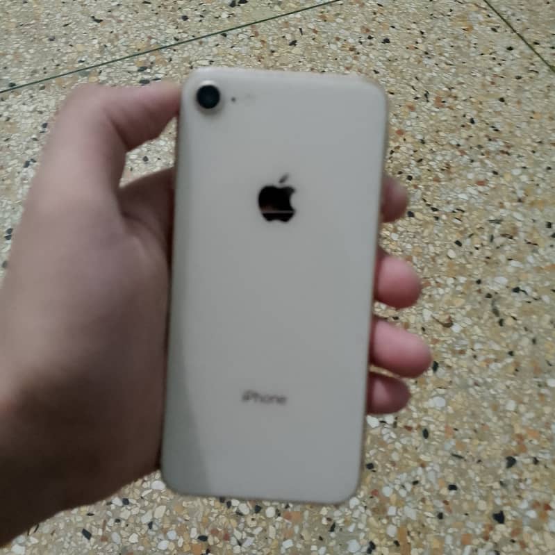 Iphone 8 Pta Approved 0