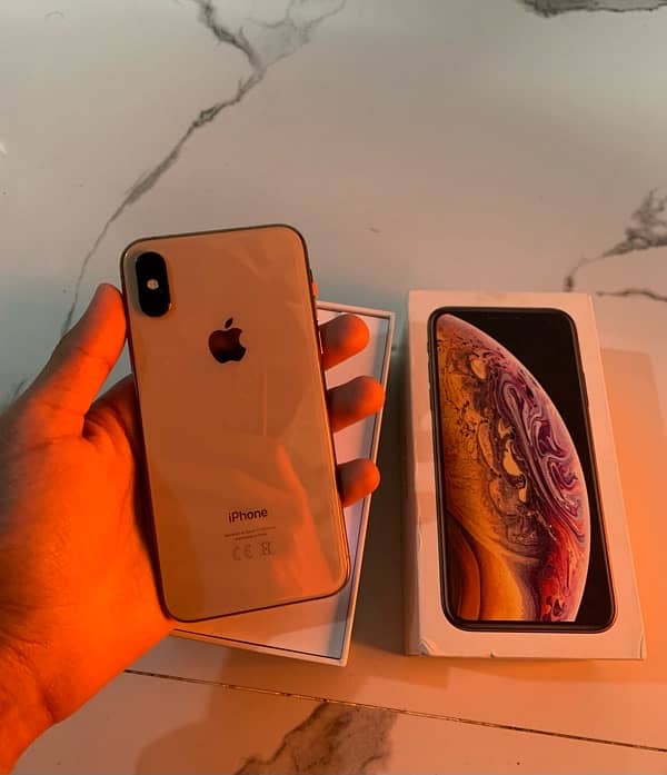 Iphone Xs 64Gb 3