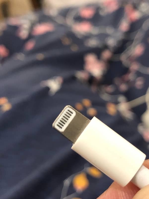 iPhone adapter and cable 2