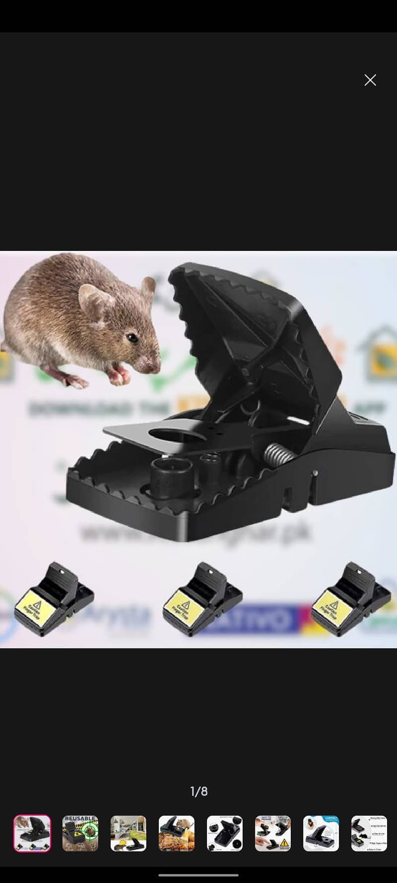 Mouse Trap 5