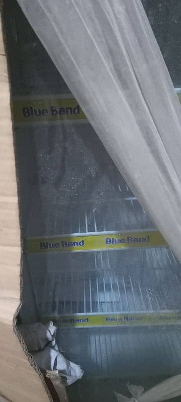 blue band chilar 1