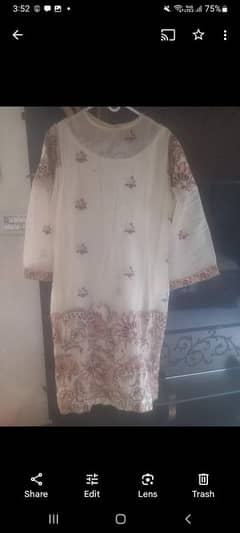 Cotton Net Dress