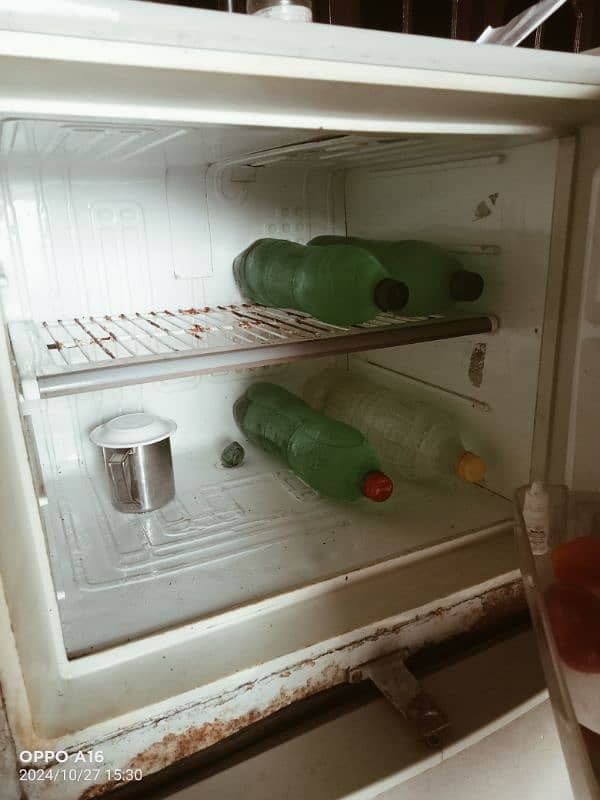 medium size fridge 1