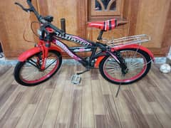 20 Size Cycle | imported Bicycle 0331-5507990