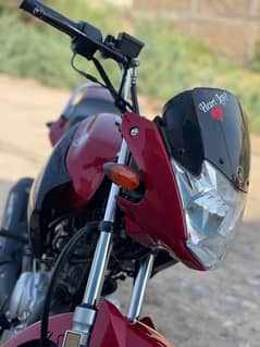 Yamaha YBR 125 2021 Model for sale lust condition everything is fine