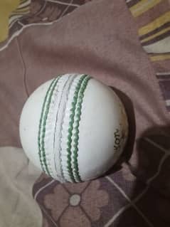 cricket hard boll