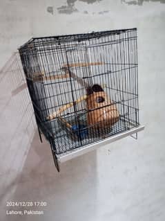 two portion cage for sale