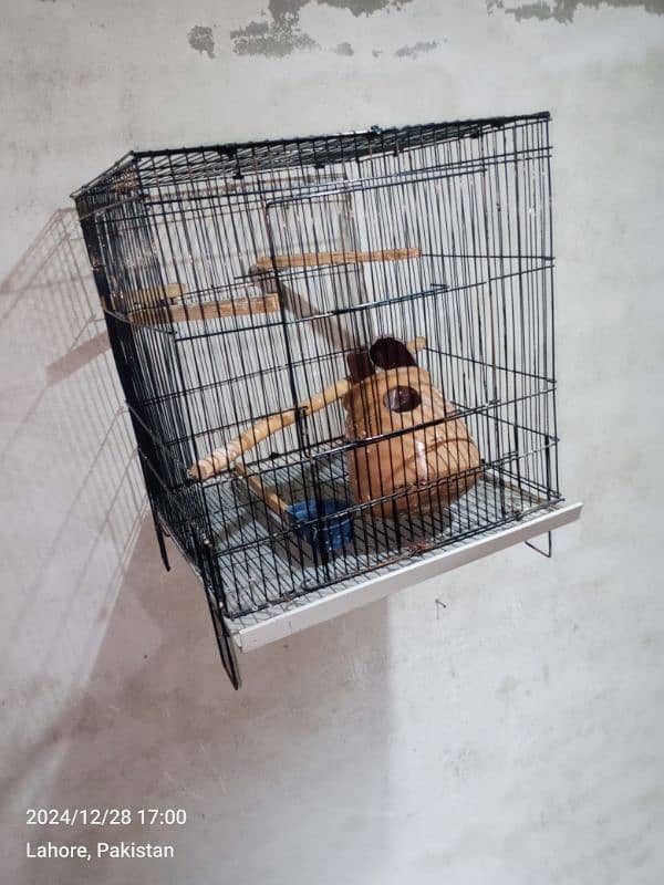 two portion cage for sale 0