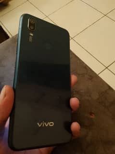 vivo