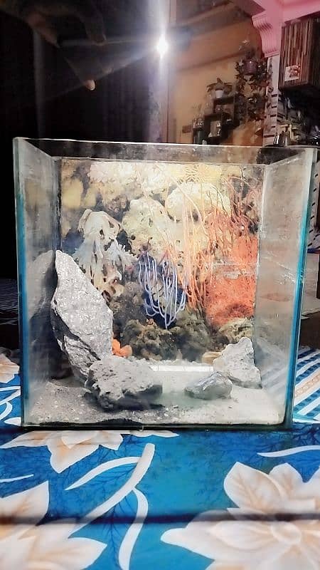 Aquarium for sale 0