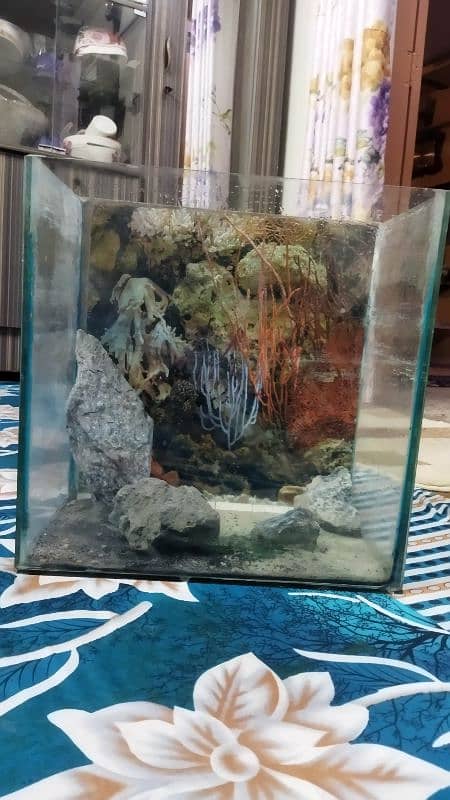 Aquarium for sale 3